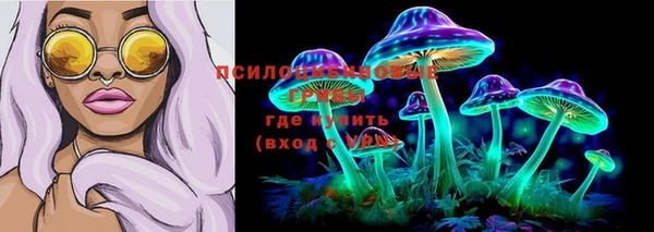 PSILOCYBIN Дмитров