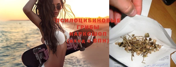 PSILOCYBIN Дмитров