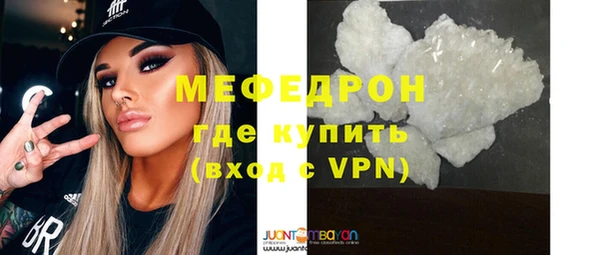 индика Дмитровск