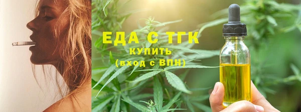 индика Дмитровск
