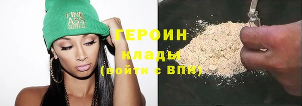 индика Дмитровск