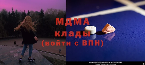 индика Дмитровск