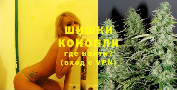 PSILOCYBIN Дмитров