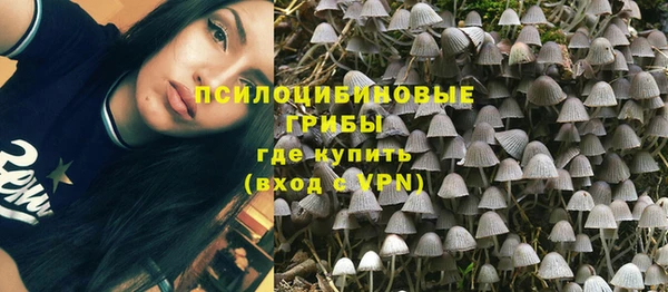 PSILOCYBIN Дмитров