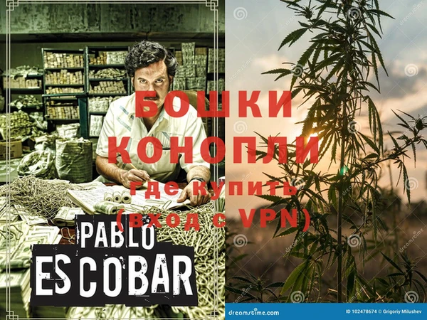 индика Дмитровск