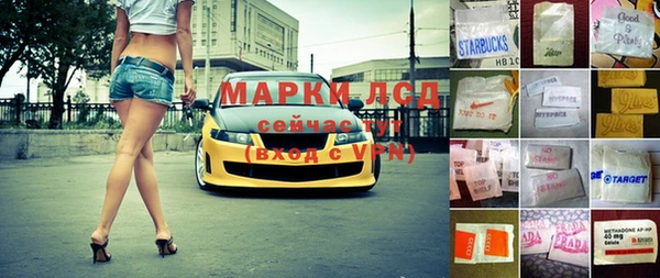 индика Дмитровск