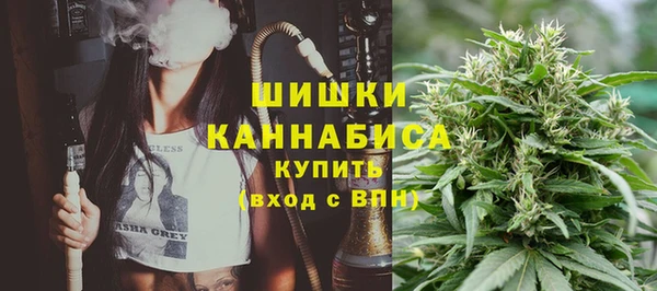 индика Дмитровск