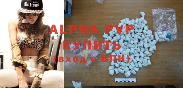 индика Дмитровск