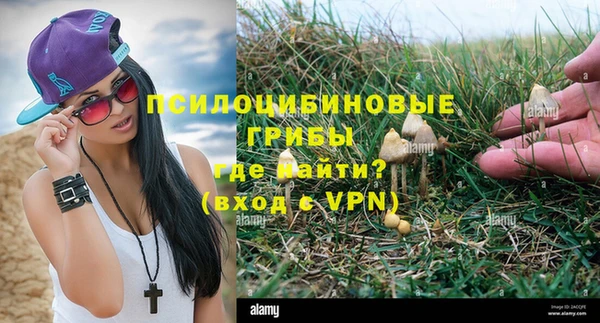 индика Дмитровск
