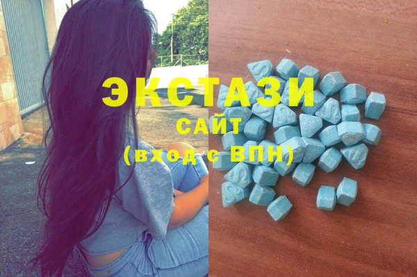 индика Дмитровск