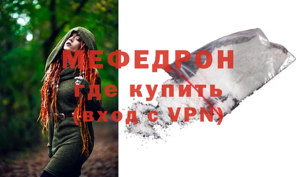 индика Дмитровск